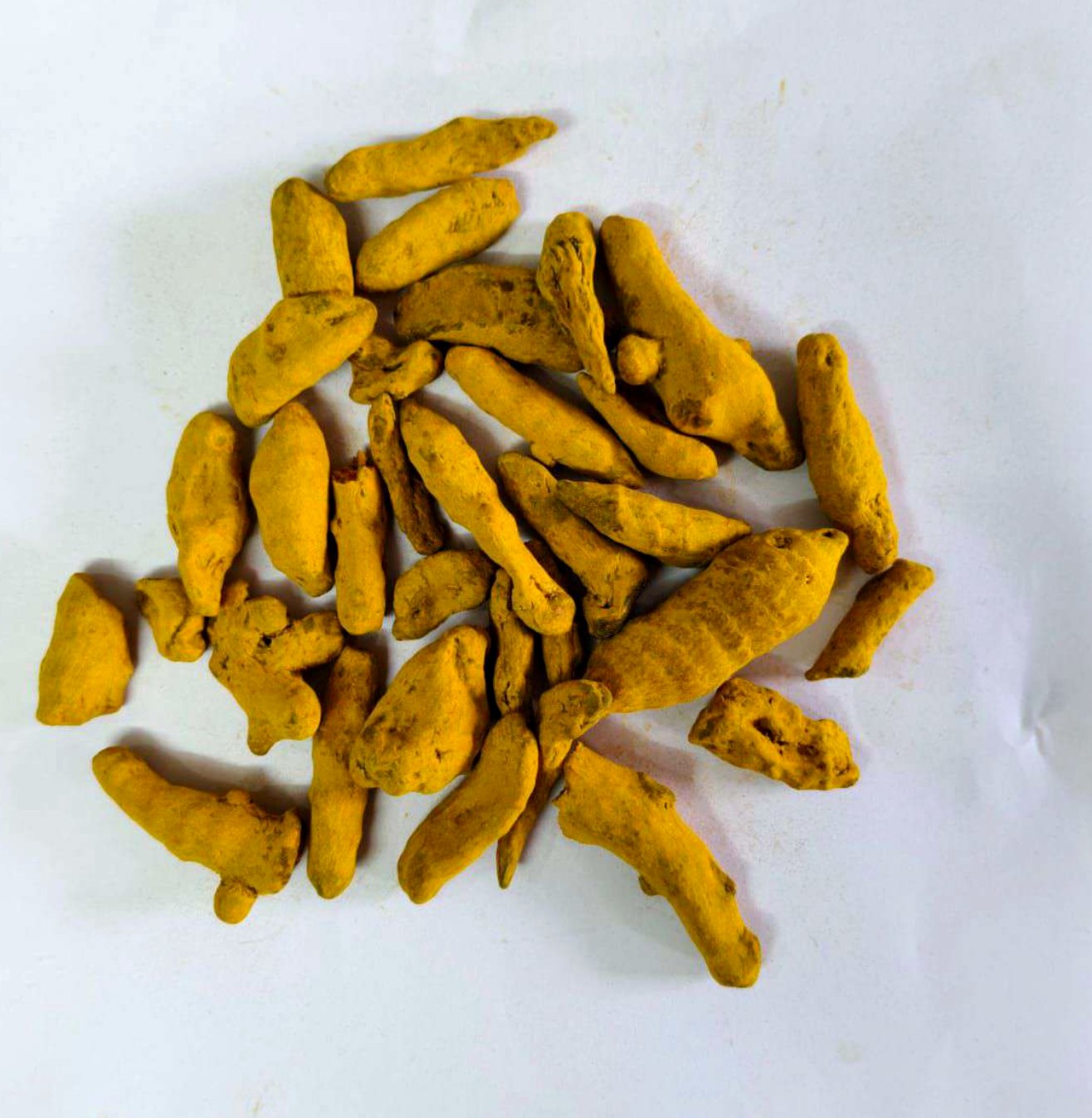 Cut piece turmeric - sized for milling Cut piece dried turmeric ready for milling and bulk supply