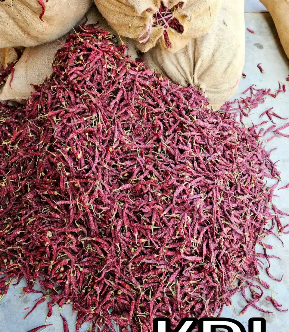 KDL (Kaddi Long) KDL Kaddi long dried red chillies heaped beside jute sacks