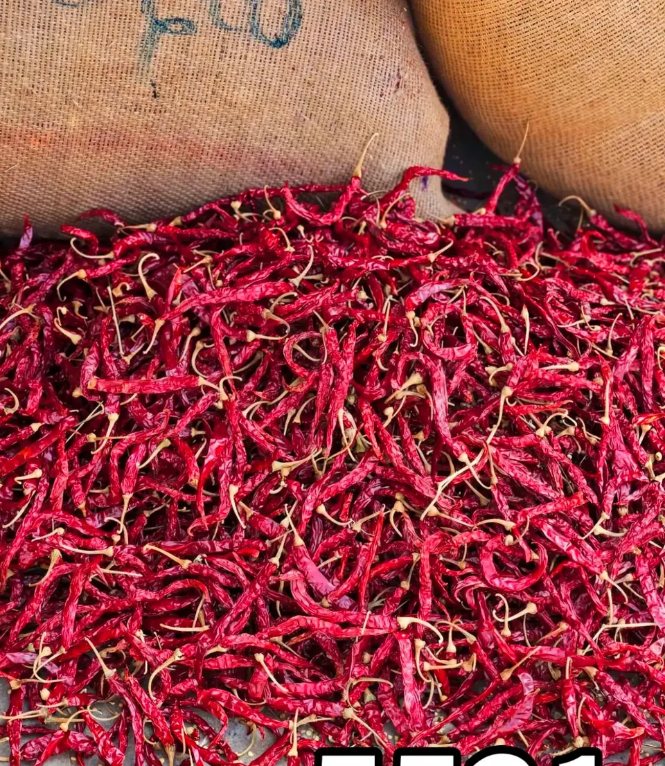 Rows of filled jute bags of 5531 red chilli ready for bulk export dispatch