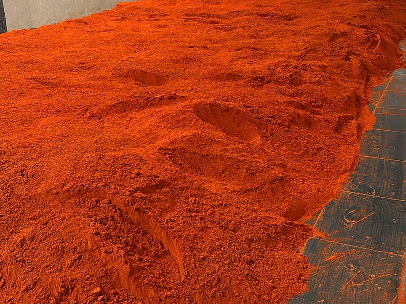 Batch of bright red chilli powder spread across the clean hall floor at the Byadgi grinding unit