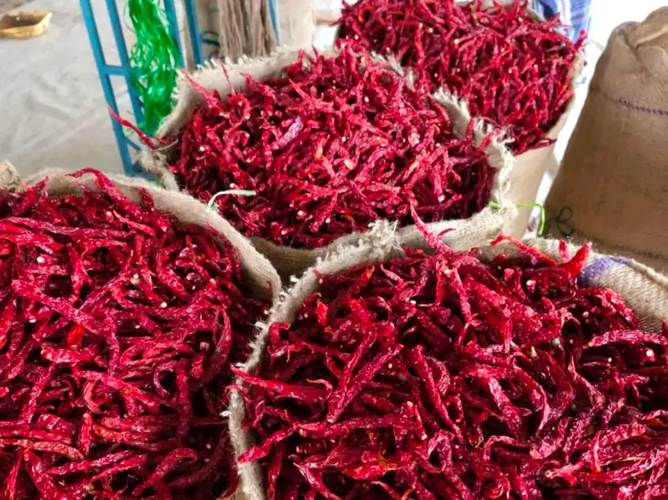 5531 dried red chillies packed in jute export sacks at the MKB Enterprises facility