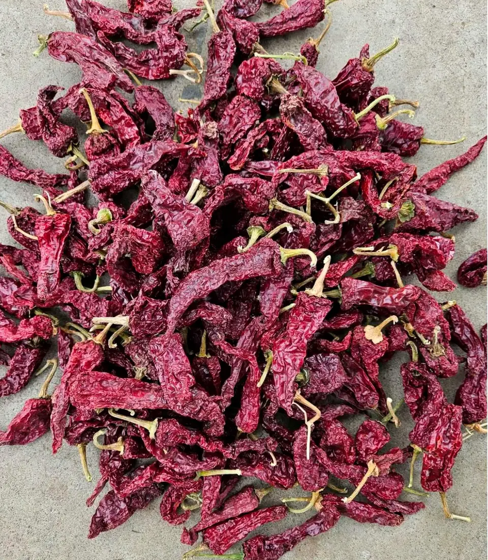 Dabbi Kashmiri Dabbi Kashmiri dried red chillies with thick wrinkled deep maroon pods